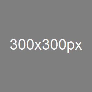 300x300px